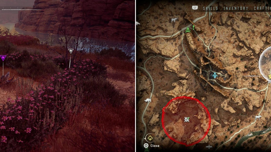 Find Metal Flower - Mark III (H) (left) at the location indicated on the map (right).