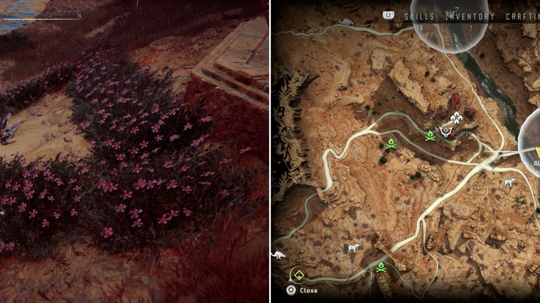 Find Metal Flower - Mark III (J) (left) at the location indicated on the map (right).