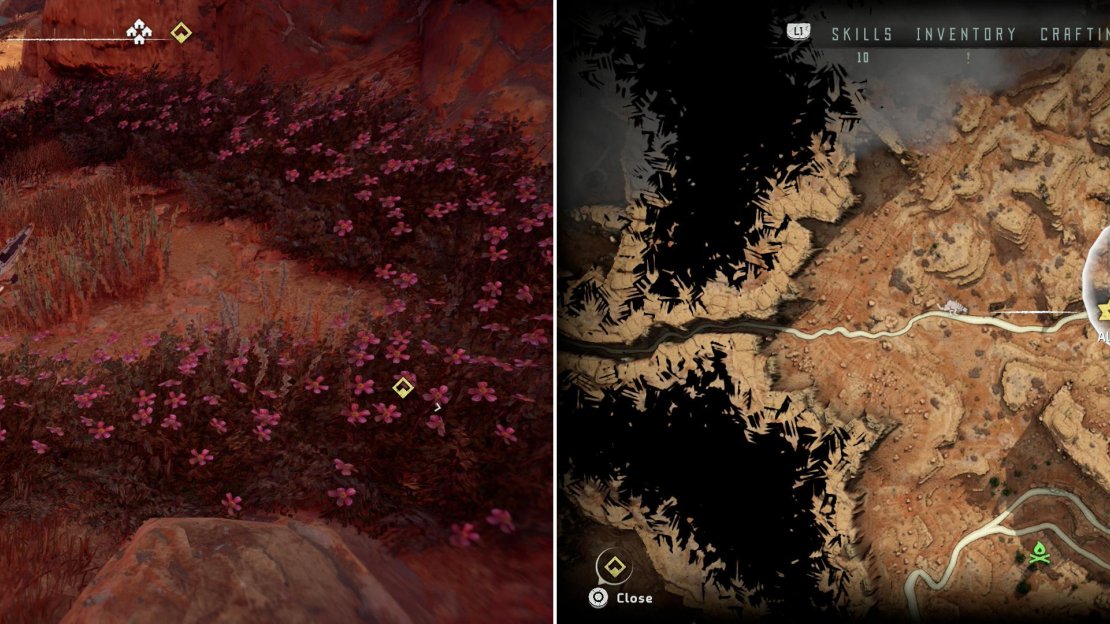 Find Metal Flower - Mark II (C) (left) at the location indicated on the map (right).