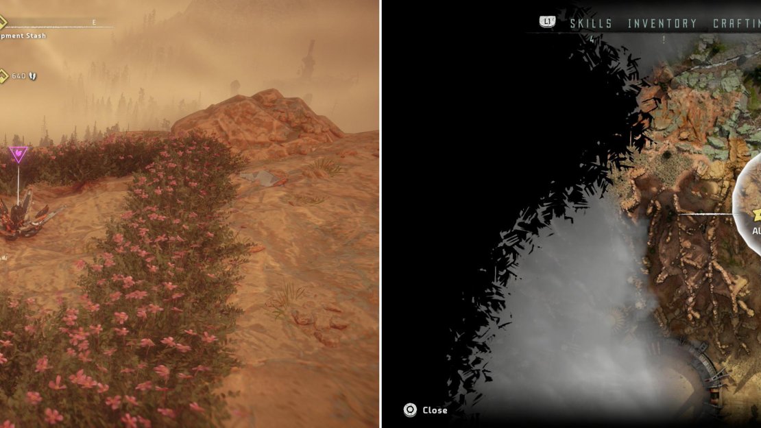 Glinthawks guards Metal Flower - Mark II (D) (left) which can be found at the location indicated on the map (right).