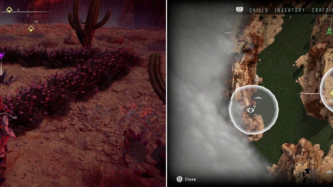 Metal Flower - Mark II (I) (left) can be found at the location indicated on the map (right).
