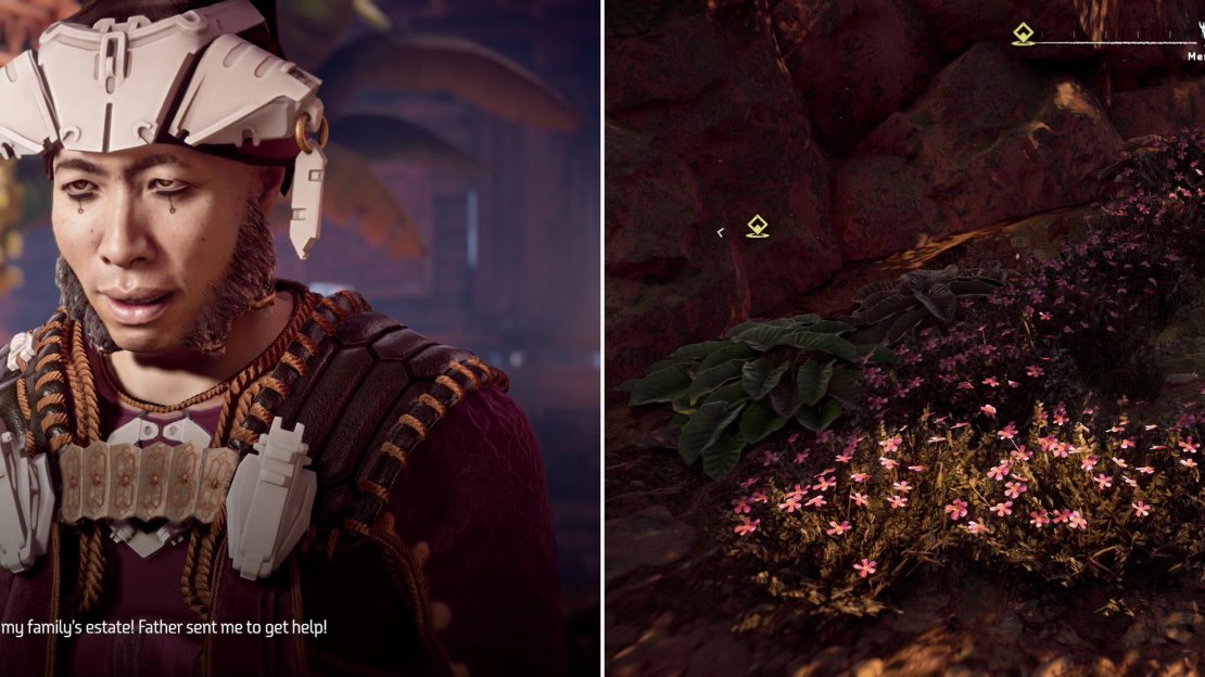 Ranaman is desperate to solicit whatever aid he can (left). On the way to his father’s estate you can pick up Metal Flower - Mark III (E) (right).