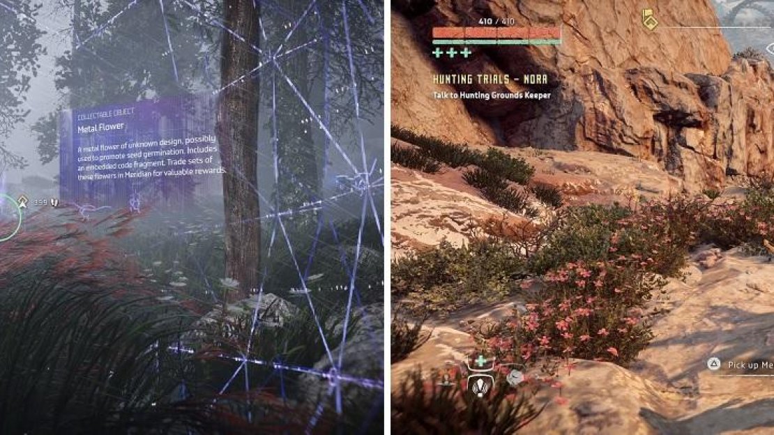 Use your Focus to look for a Metal Flower location (left). You can also look out for the triangular formation of real flowers (right).