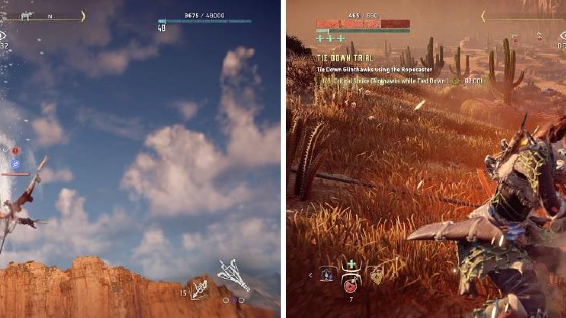Glinthawks are annoyingly difficult to hit with the Ropecaster when flying (left). You’ll have to wait a few seconds before you can use a Critical Hit on them (right).