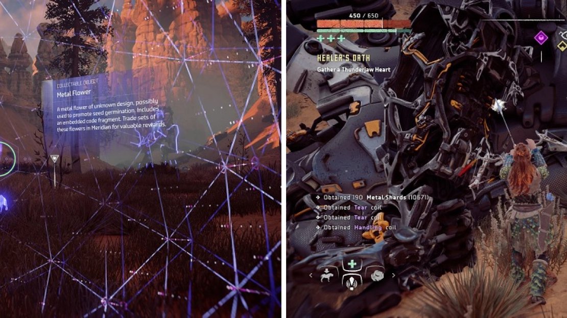 Don’t forget to grab the Metal Flower in the valley with the Thunderjaw (left), which always drops a Heart (right).