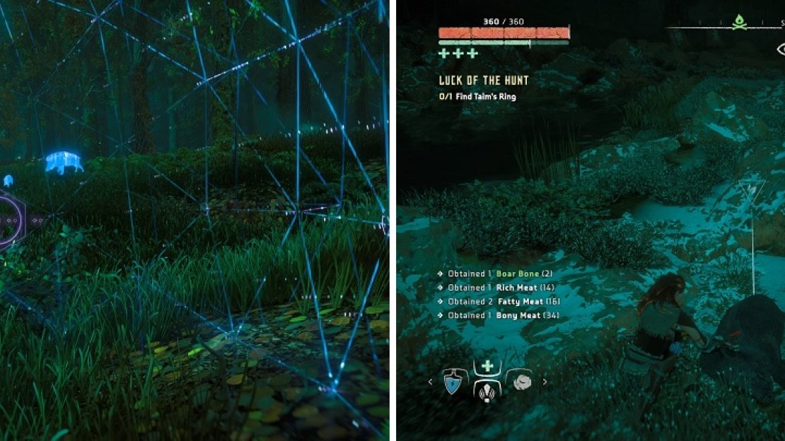 There will be a lot of boars at the one area (left). You will find the ring on a boar carcass (right).