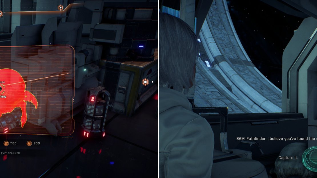 Find an alien bug in Kesh’s office (left) then decide what to do with the passive, nesting critter (right).