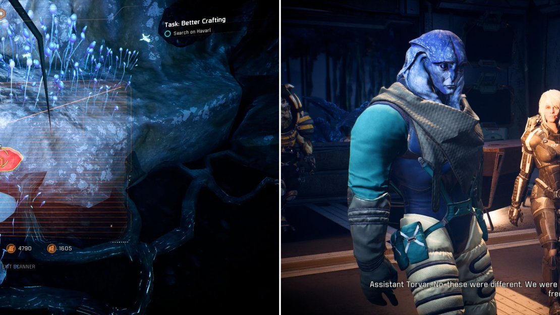 In the Remnant ruins, consider picking up some fermentable mushrooms (left). When you return to the Pelaav Research Station you’ll over hear some chatter about Turians on Havarl (right).