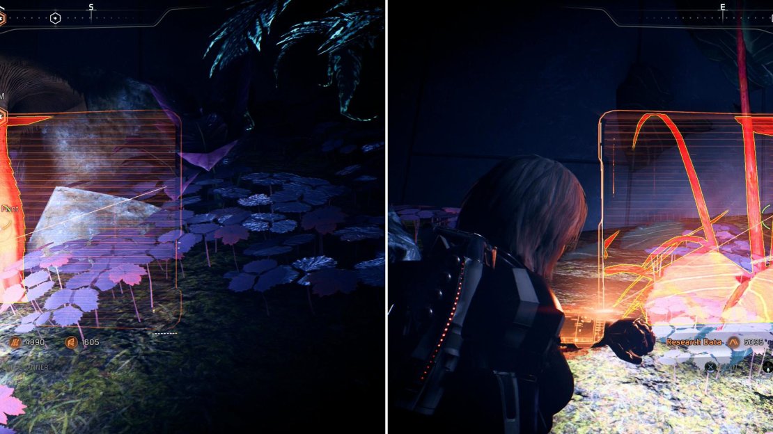 Scan some mushrooms (left) and some fibrous stalks (right) to catalogue more edible plants.