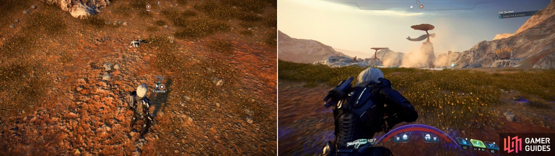 Read a datapad to find out what happened to Bishop (left) then make your way north to the lake in Kurinth&rsquo;s Valley, over which Old Skinner flies (right).