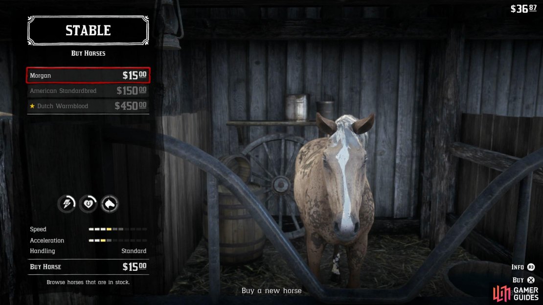 Don’t waste all your money on an expensive horse just yet.