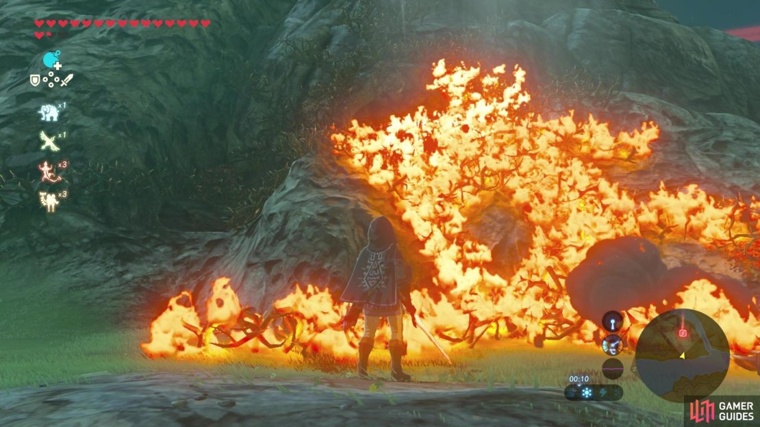 Burn the vines so you can reach the cave entrance.