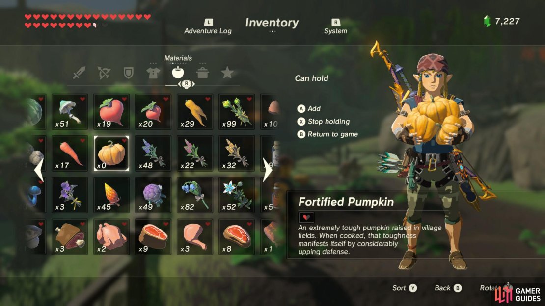 This tough pumpkin is grown in Kakariko Village.