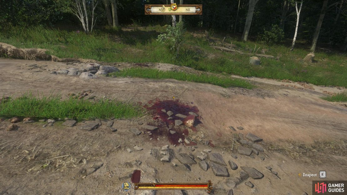 Follow the blood trail until you reach a large pool of blood on the road.