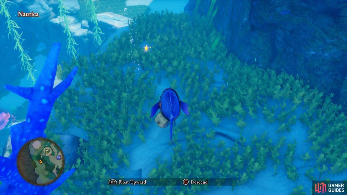 Search on the cliff overlooking the Item shop to find the golden Sparkly Spot.
