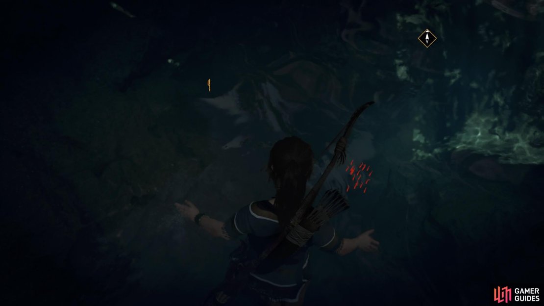 Watch out for piranhas below