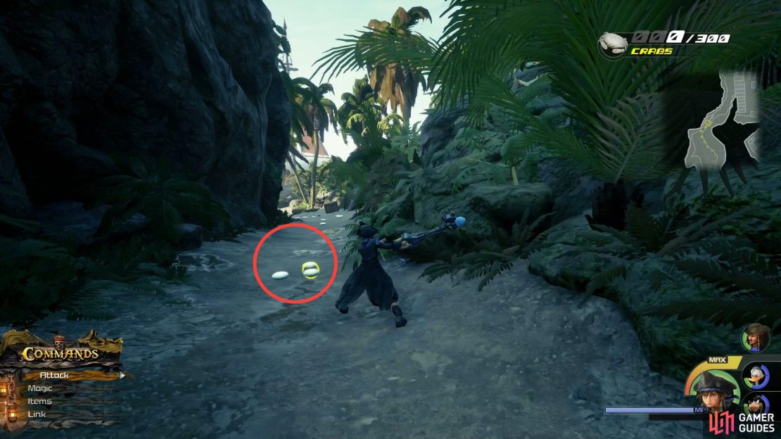 Along pathways is just one of the ways to find these elusive Crabs.
