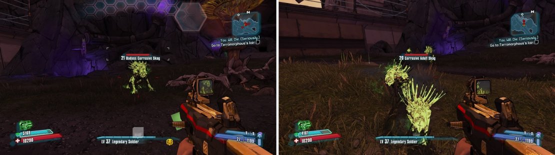 Badass Skags are always an elemental (left) and can turn other Skags into that same elemental (right).