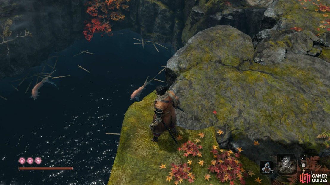 Two more Treasure Carps swim in the pond below.