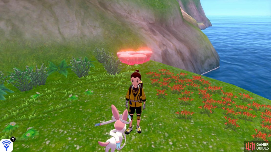 Head right from the entrance to Courageous Cavern (facing the cavern). It&rsquo;s just around the corner, past some tall grass.