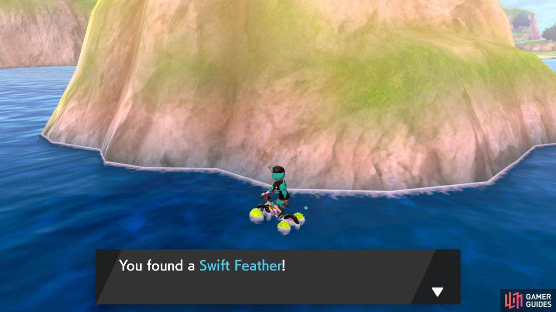 Feathers are extremely common in the sea. They increase EVs for a particular stat by 1, which is a minuscule amount.