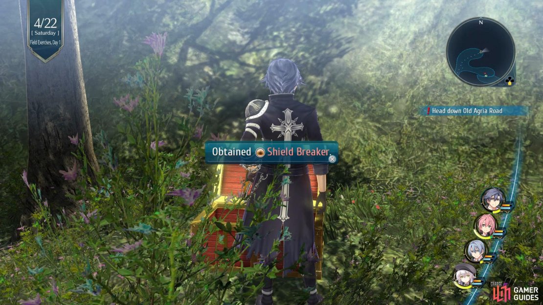 Proceed up the left path to find the Chest that contains the Shield Breaker