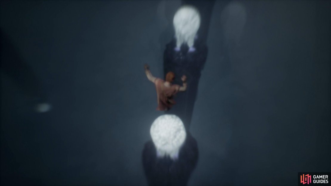 Step on the Lung flower to initiate a flashback