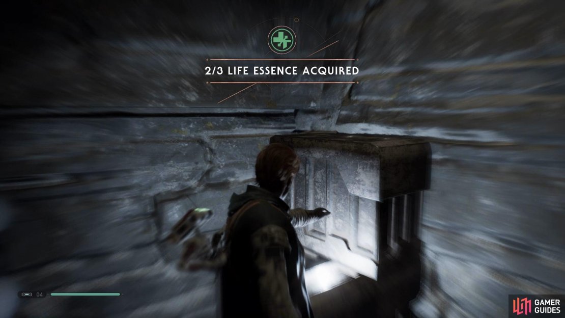 Head up to Gusty Bluffs and use the spinning platforms to reach the hidden area above.