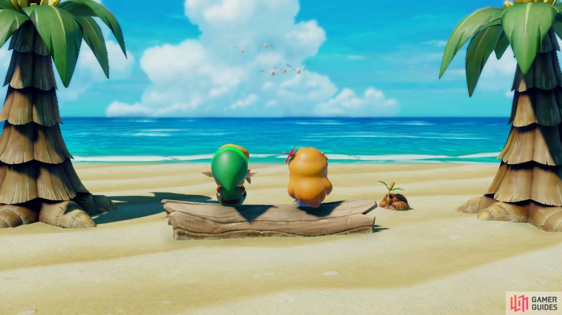 The Legend of Zelda: Link's Awakening Screenshot