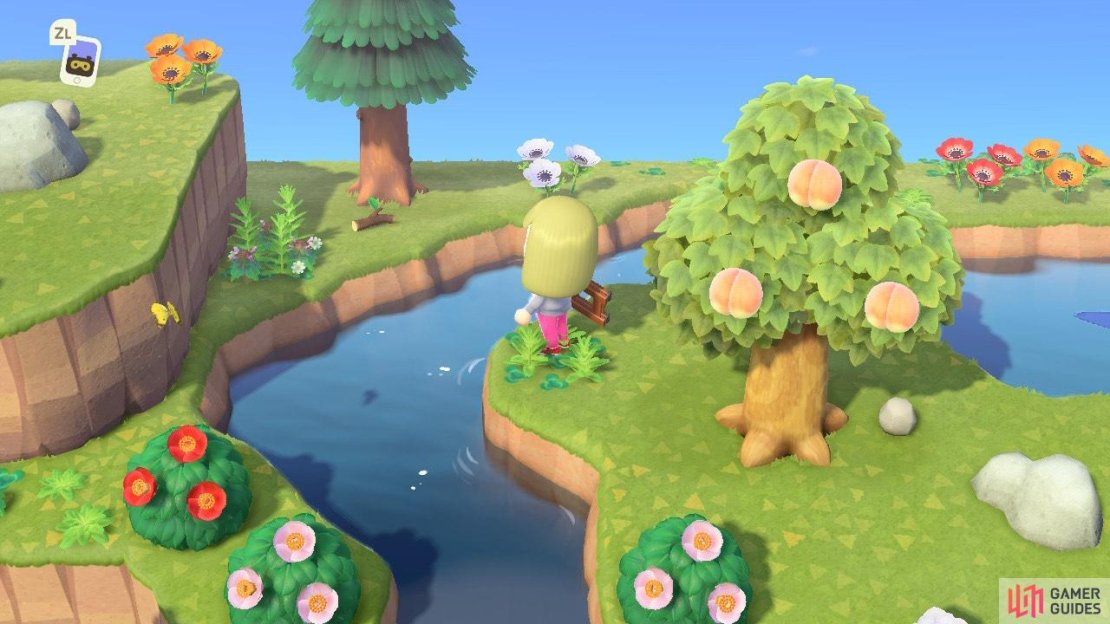 Stay on the lookout for rare plants, bugs, and even Gyroids that you can dig up.