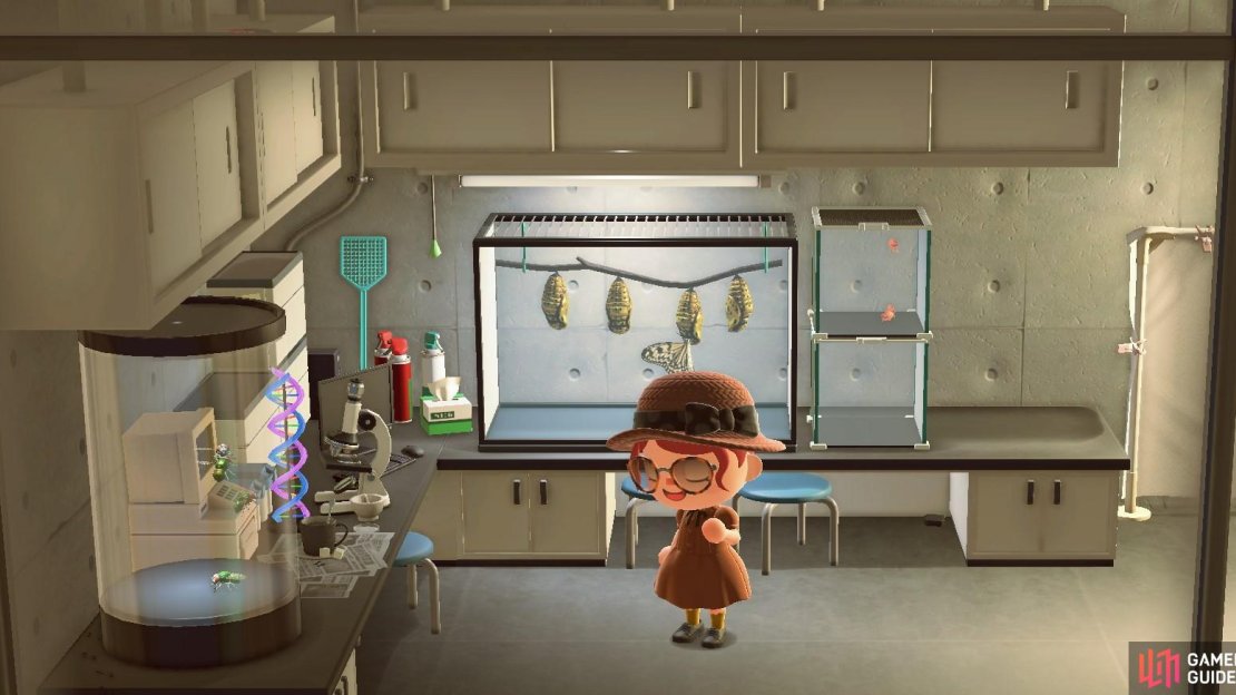 The bugs museum has three separate rooms, one of which acts like an incubation/research area.