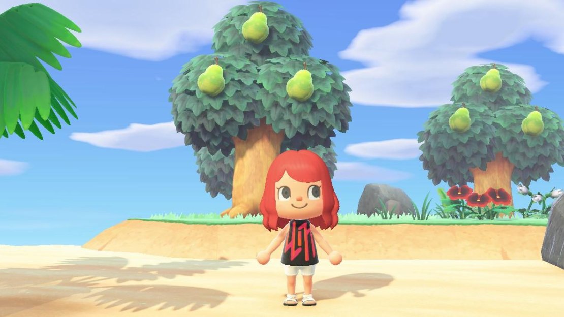 Animal Crossing: New Horizons Screenshot