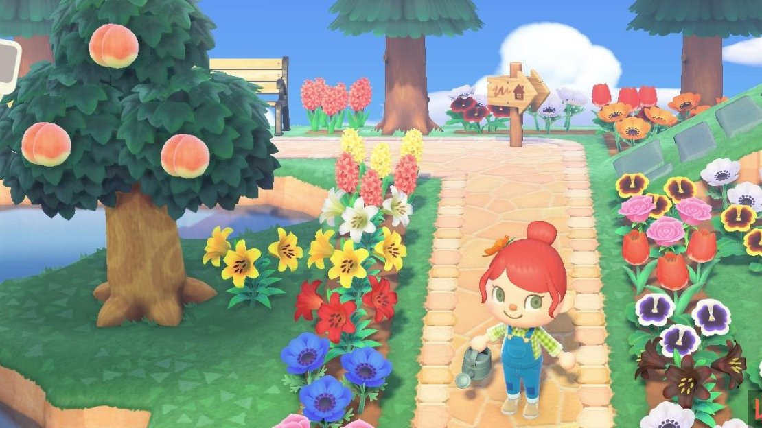 Hybrid flowers are great for bordering pathways.