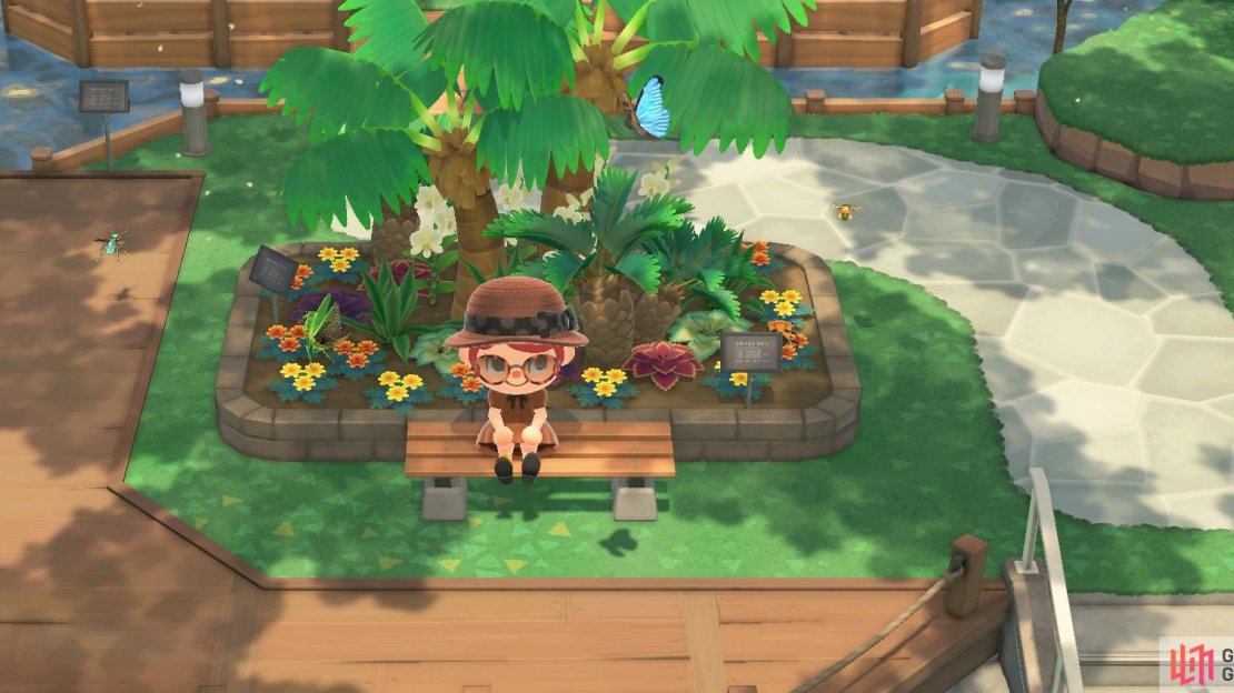 Don’t forget to donate your newly found bugs to Blathers’ museum.