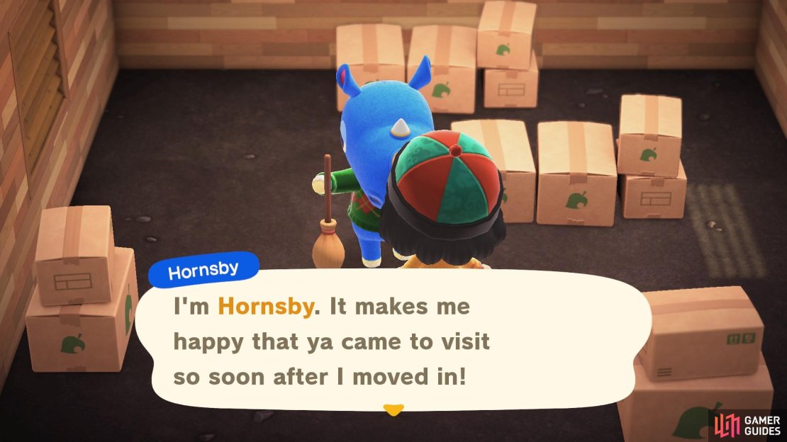 Go say hi to your new friend!