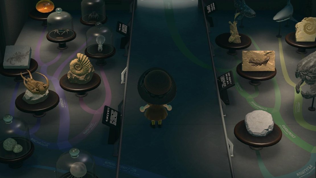 This corridor room displays lots of stand-alone fossils.
