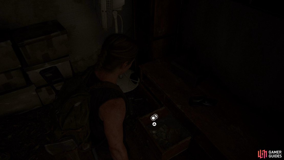 The Last of Us Part II Screenshot