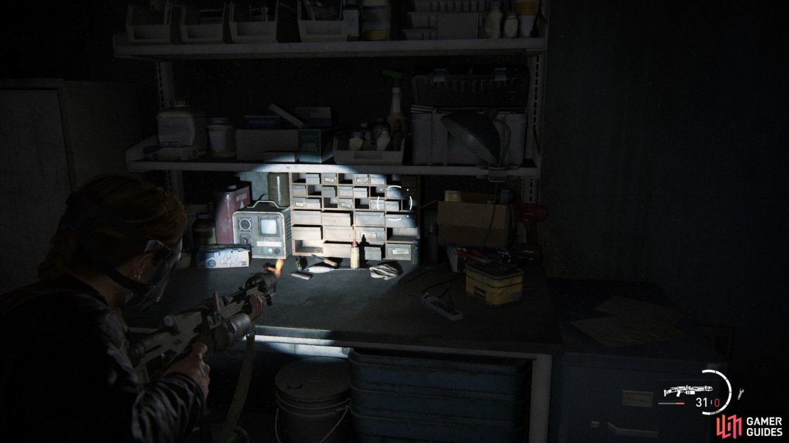 The Last of Us Part II Screenshot