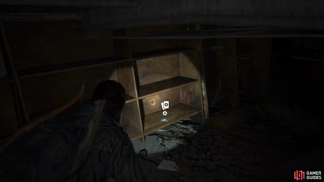 The Last of Us Part II Screenshot