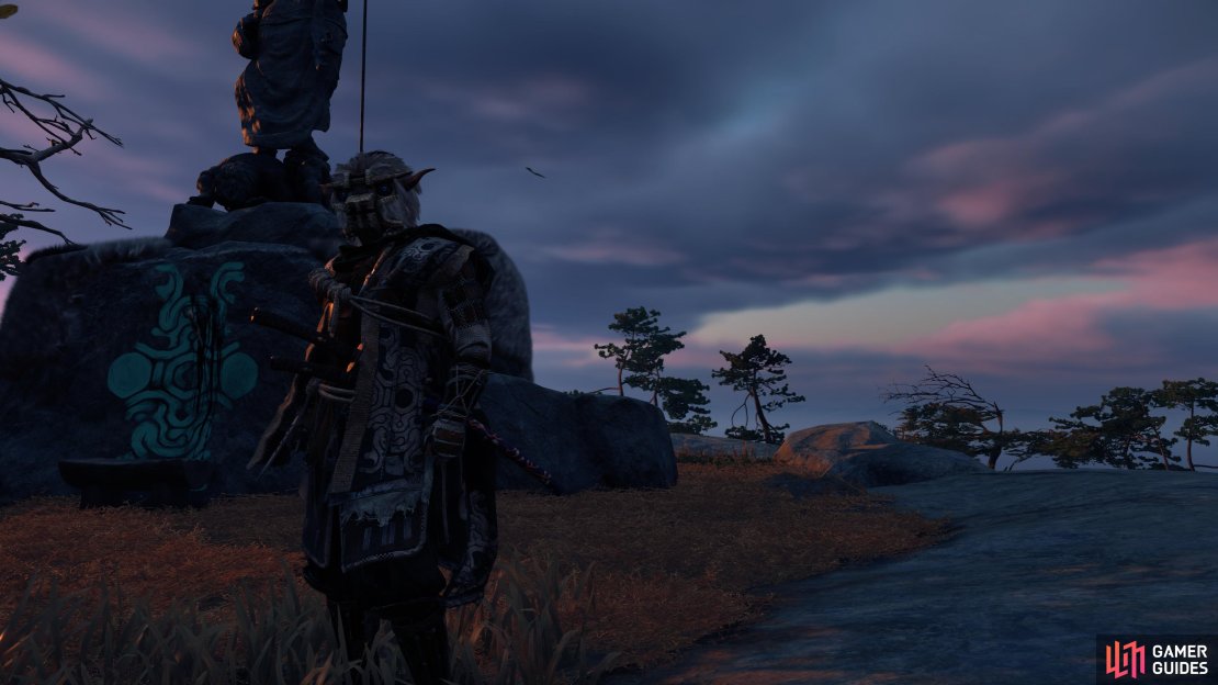 The Shadow of the Colossus Armor can be found at the Shrine in Shadow.
