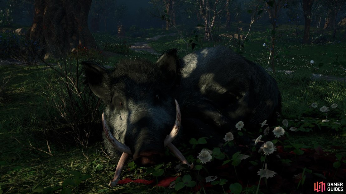 Assassin's Creed: Valhalla Screenshot