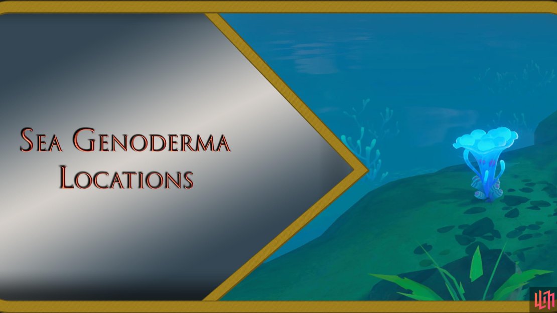 Sea Ganoderma