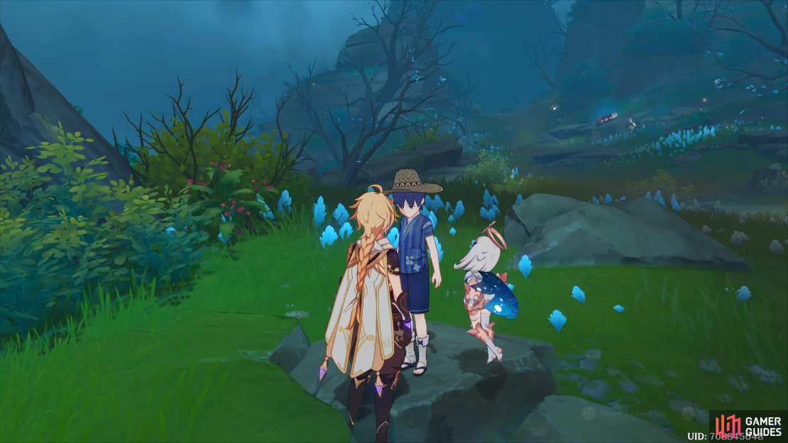 By talking to the mysterious boy, you&rsquo;ll find out his name is Ruu.