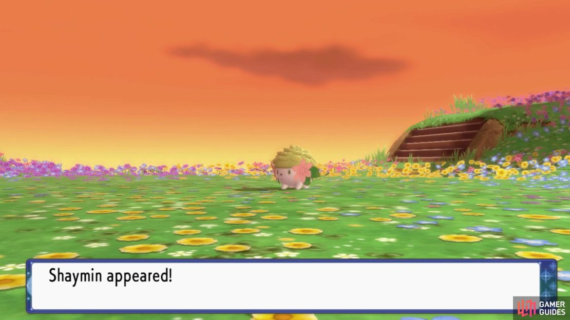 Shaymin is tiny, but it can pack a punch when properly trained.