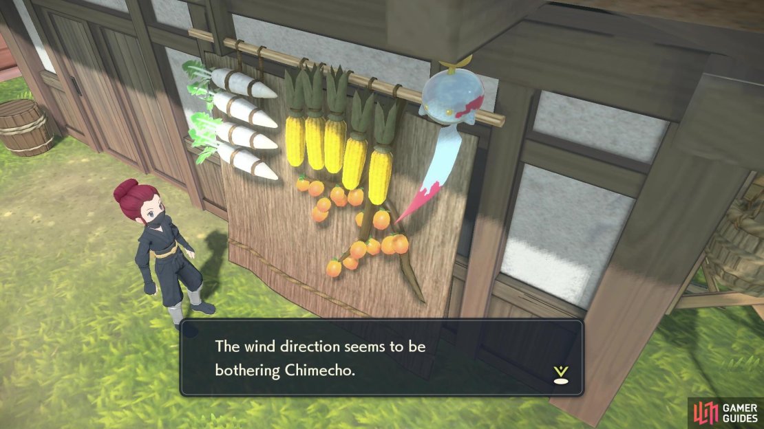 Chimecho doesn’t seem to like the farm.