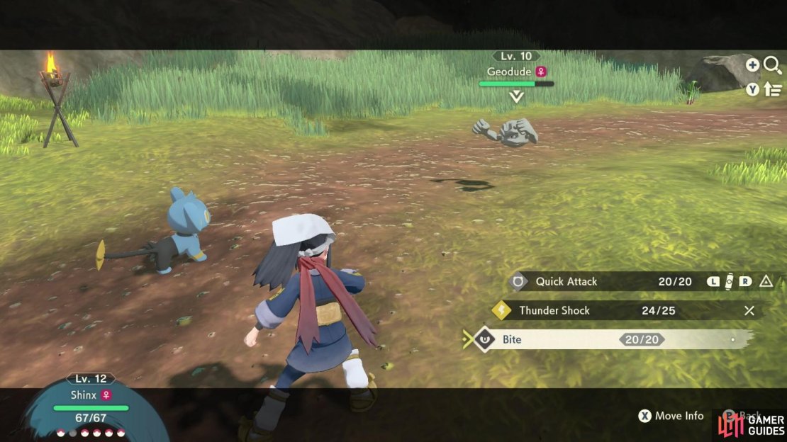 Go out and catch a Geodude for Radisa.