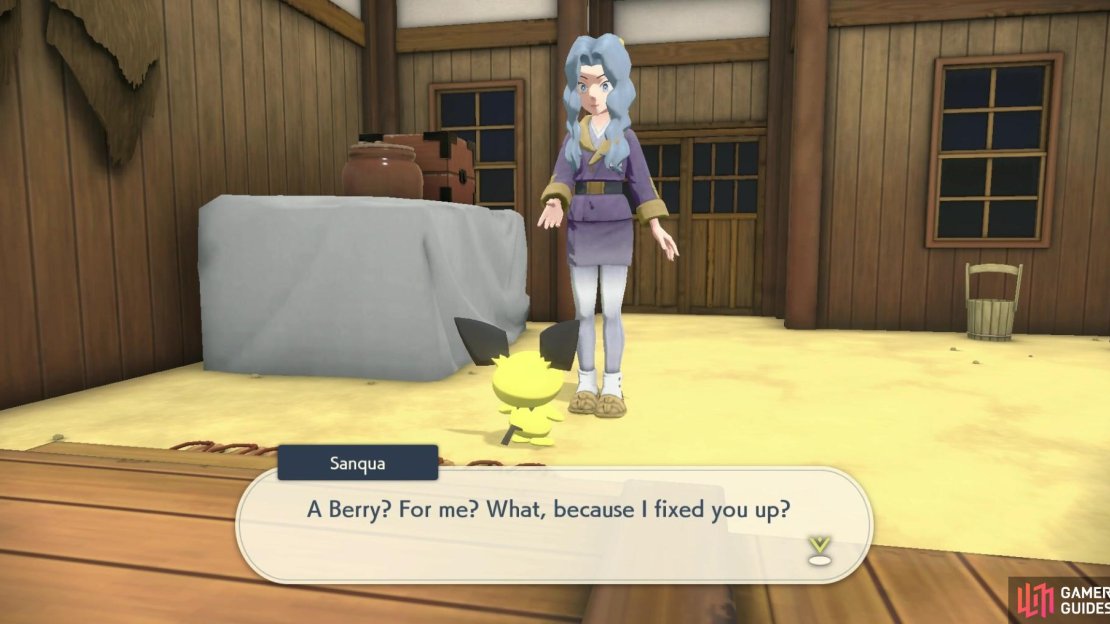 Sanqua had helped Pichu in the past!