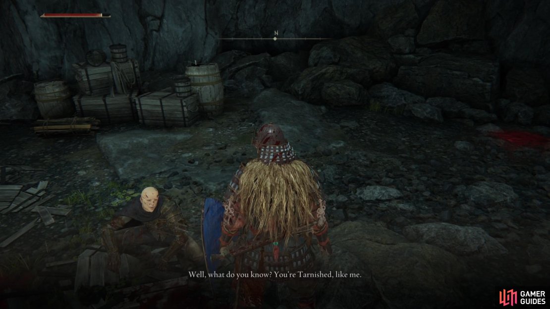 Patches is hiding out in Murkwater Cave.