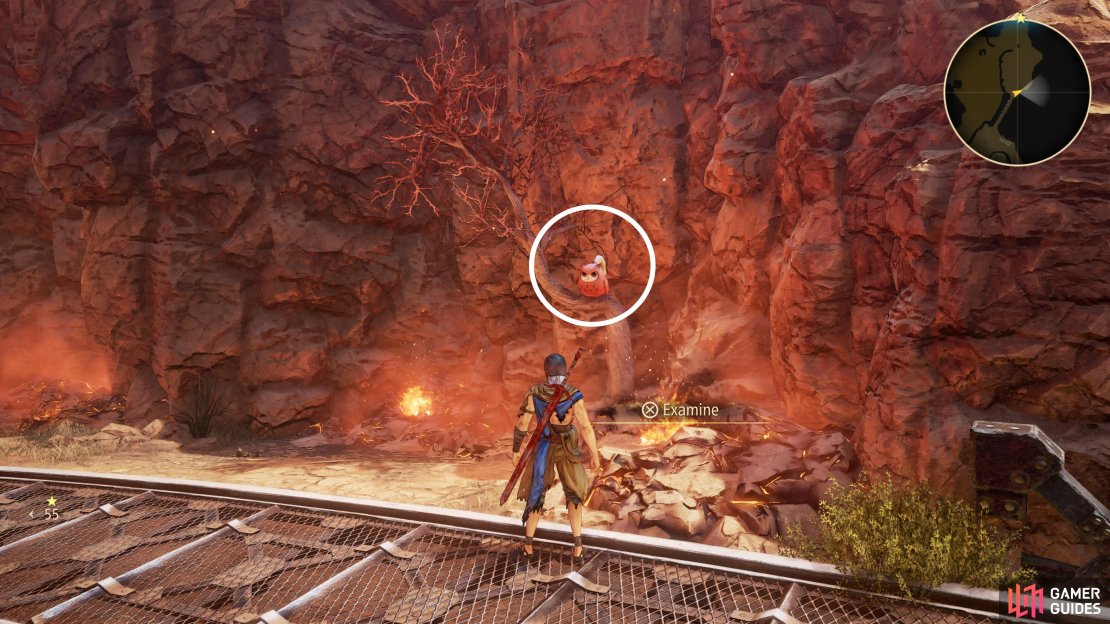 Owls can be found all across Dahna.