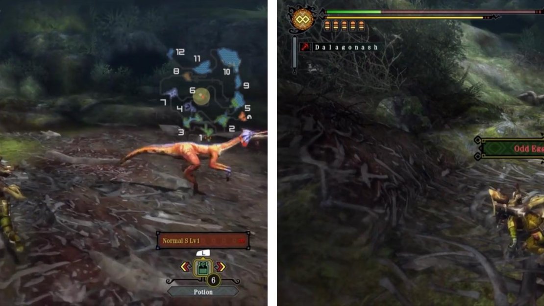Shiny spots contain special commodities and only appear in the Moga Woods.